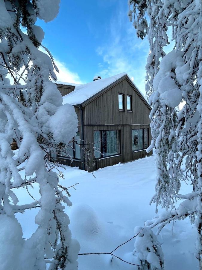 Martebaecken 21 Villa Sälen Kültér fotó
